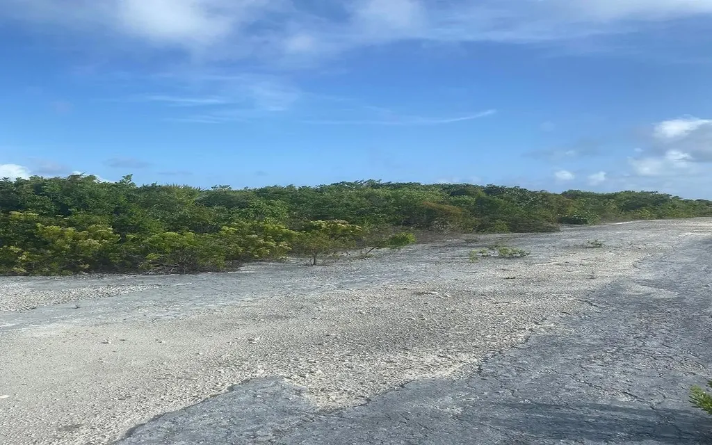 Columbus Landing 1 San Salvador BS