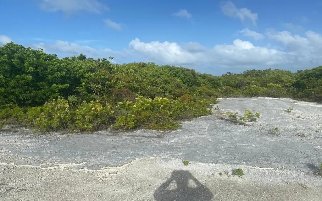 Columbus Landing 1 San Salvador BS