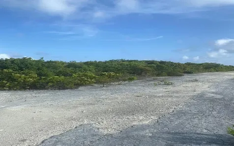 Columbus Landing 1 San Salvador BS