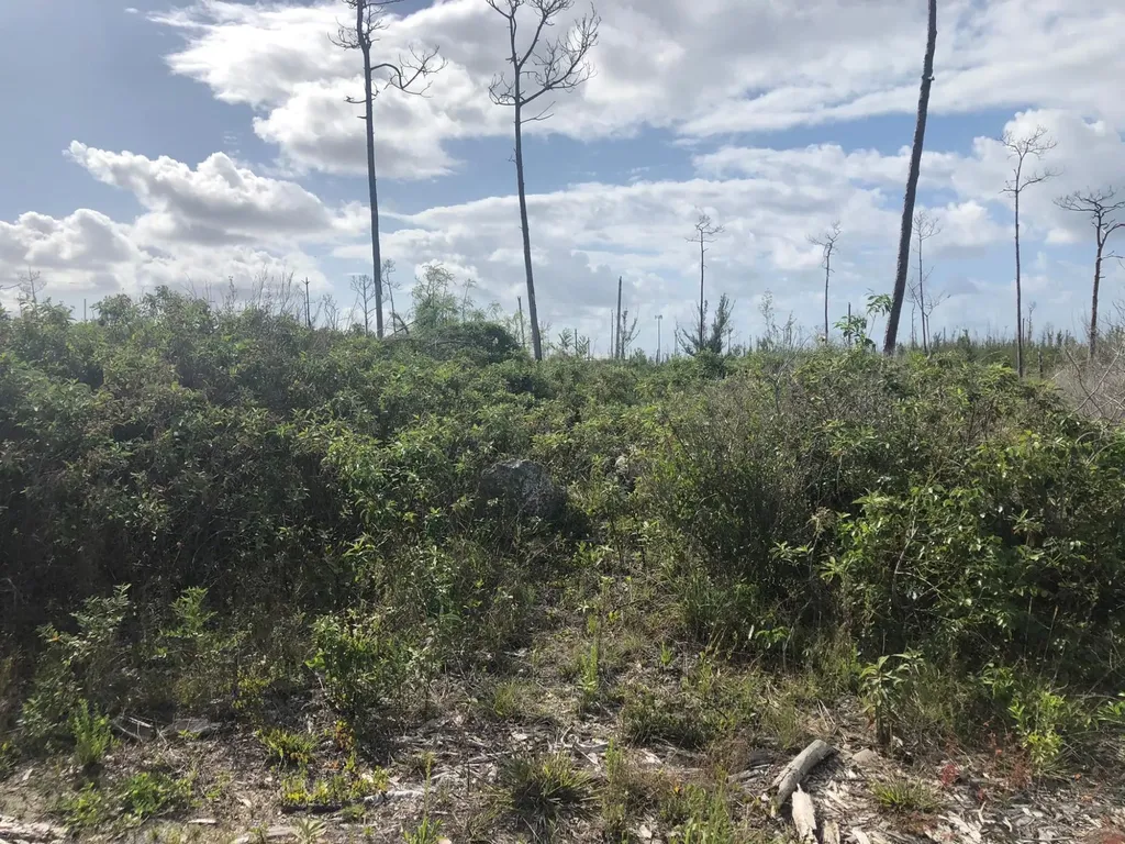 Freeport Grand Bahama Freeport BS