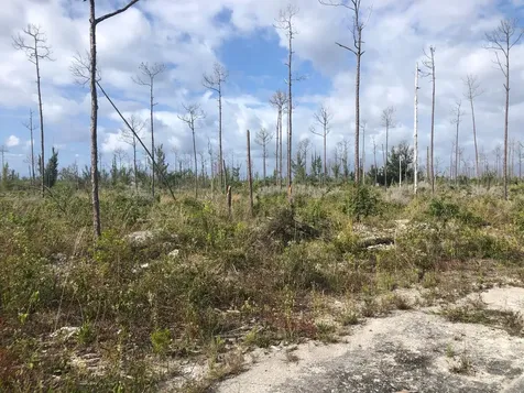 Grand Bahama Lot- 1 Acre Grand Bahama Freeport BS