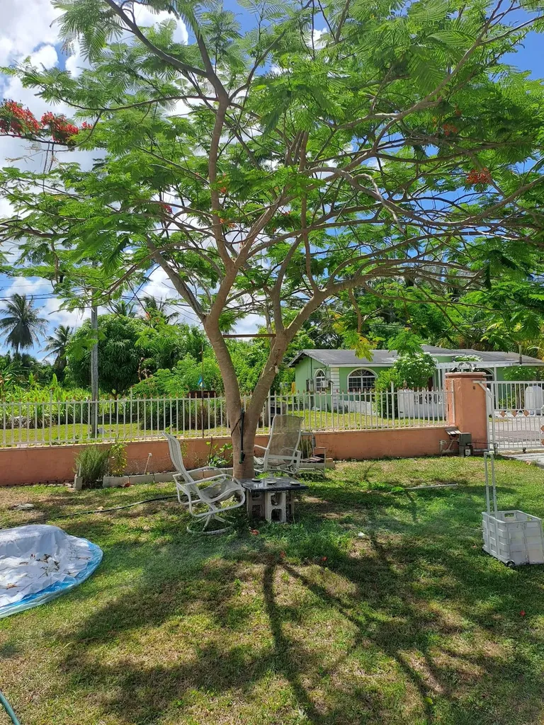 Roberts Boulevard 18 New Providence Paradise Island BS