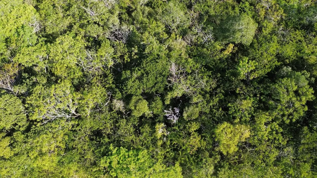 Bahama Sound Exuma BS