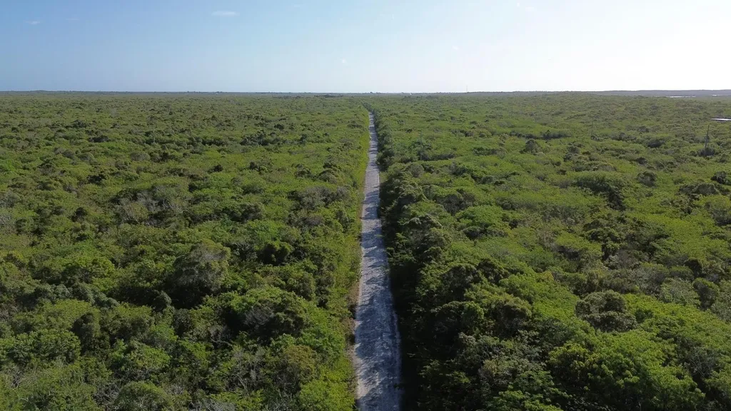 Bahama Sound Exuma BS