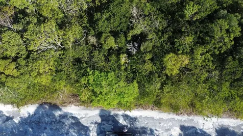 Bahama Sound Exuma BS