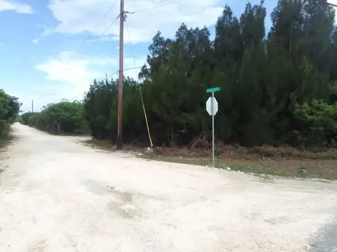 Alligator Bay Long Island BS