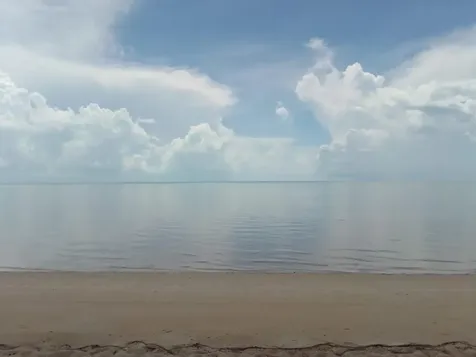 Alligator Bay Long Island BS