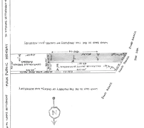 Alligator Bay Long Island BS