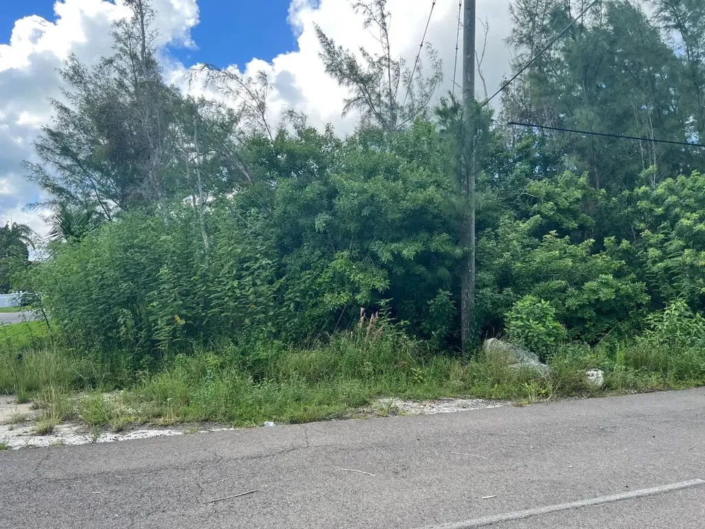 4 Coral Harbour Waterways New Providence Paradise Island BS