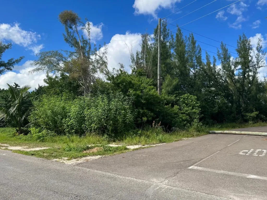 4 Coral Harbour Waterways New Providence Paradise Island BS