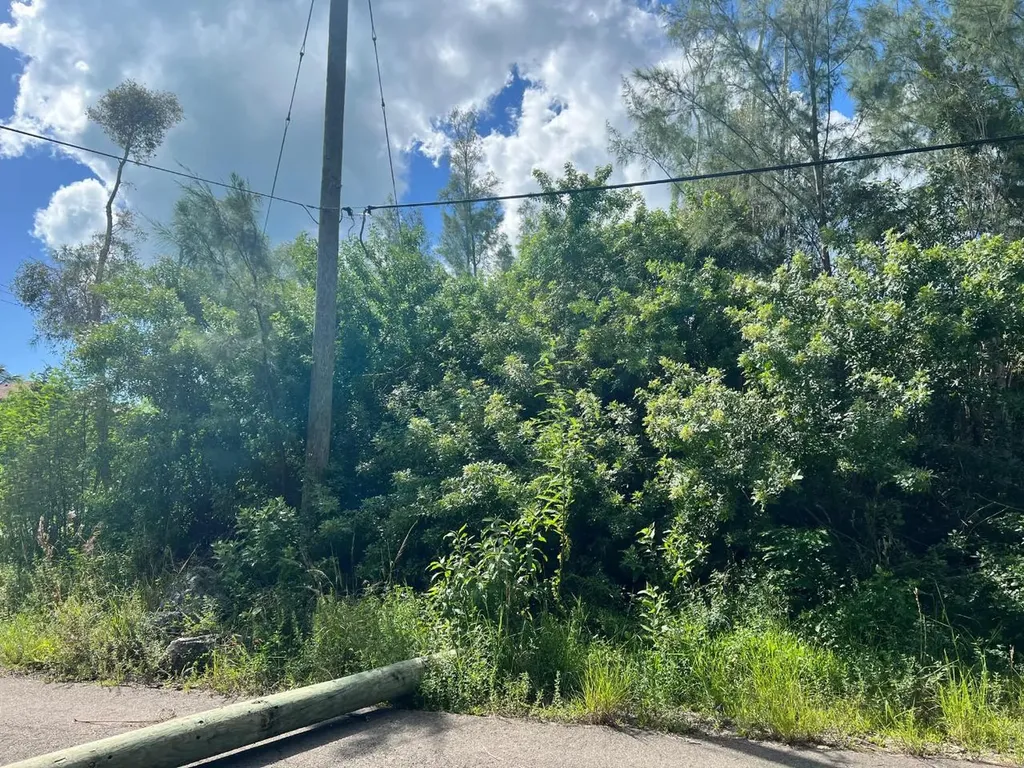 4 Coral Harbour Waterways New Providence Paradise Island BS