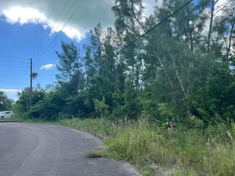 3 Coral Harbour Waterways New Providence Paradise Island BS