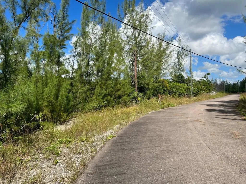 2 Coral Harbour Waterways New Providence Paradise Island BS