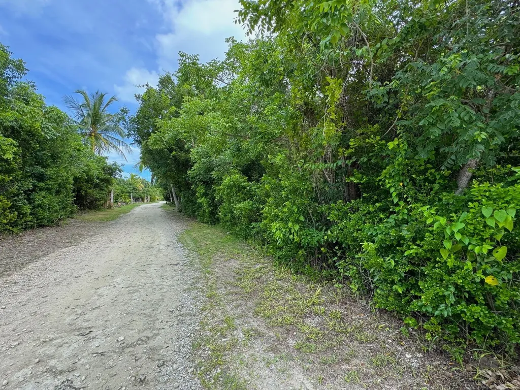 Lot 129 Abaco Ocean Club Abaco BS