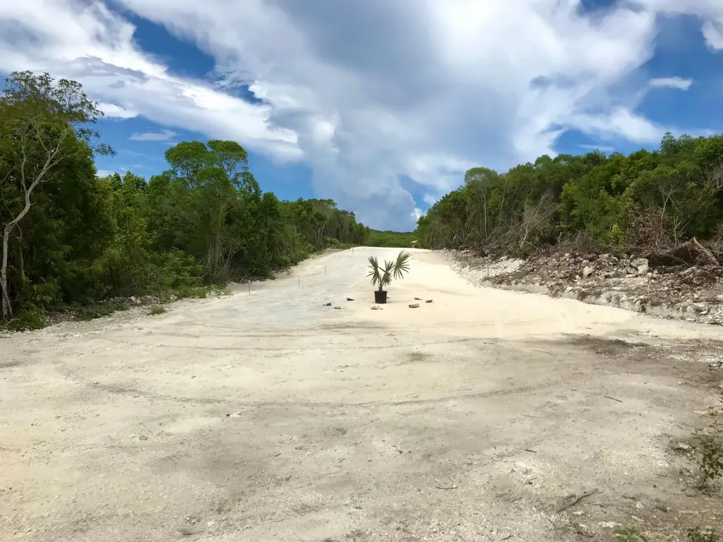 Exquisite Palms Lot #17 Eleuthera BS