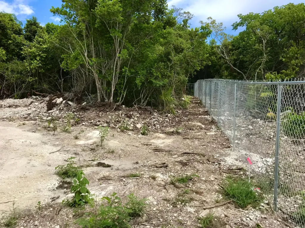 Exquisite Palms Lot #5 Eleuthera BS