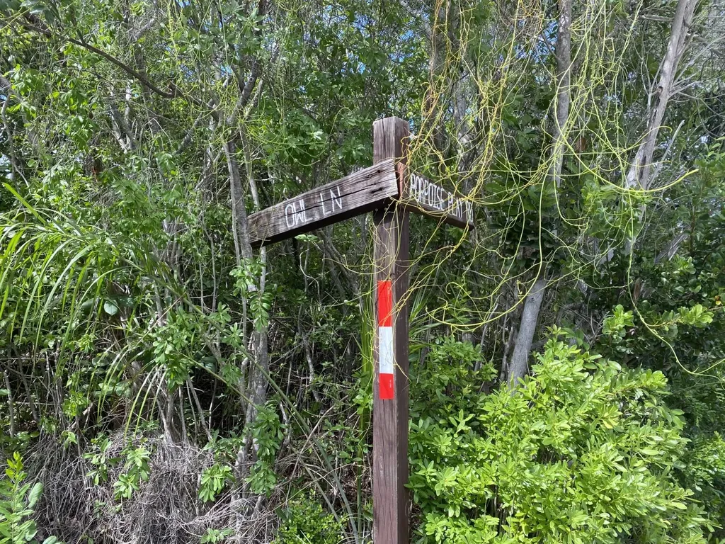 Lot 25 Blk 38 Rainbow Bay Eleuthera BS