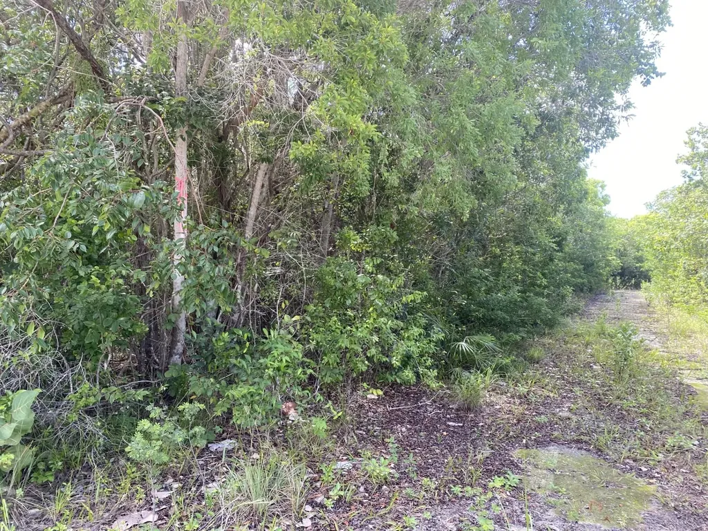 Lot 25 Blk 38 Rainbow Bay Eleuthera BS