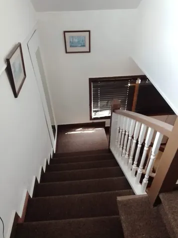 Deveaux Street New Providence Paradise Island BS