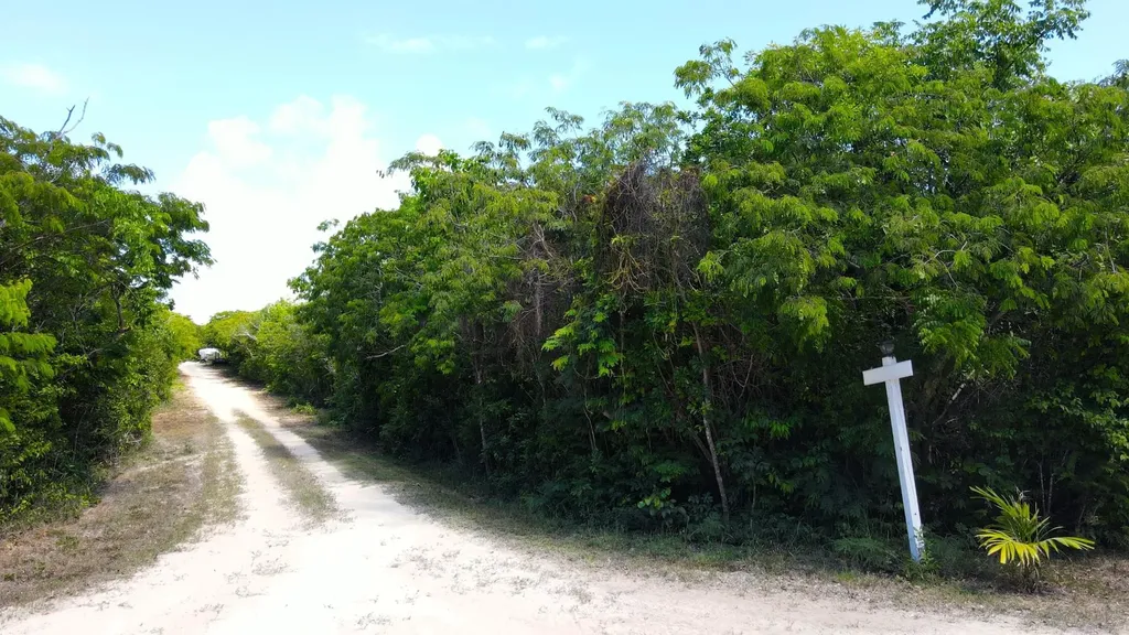 Lot 28, Abaco Ocean Club Abaco BS