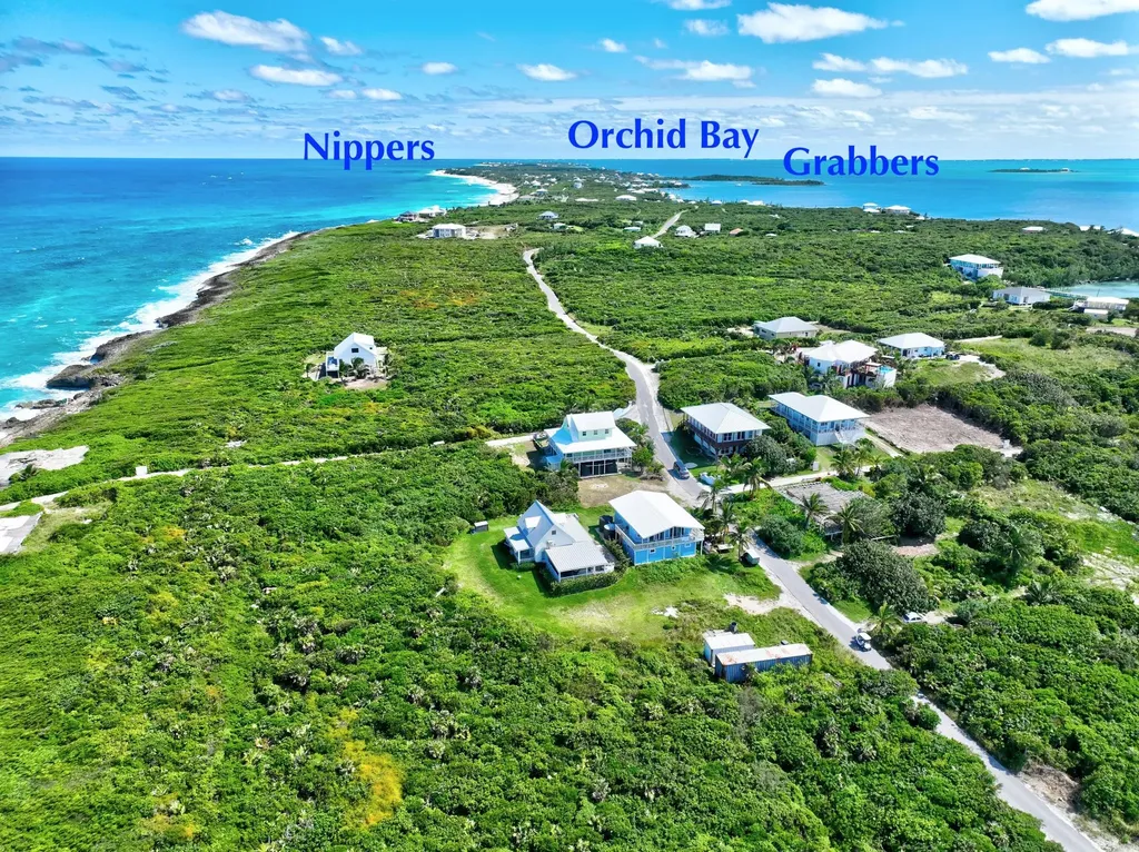 Alibi Alibi Abaco BS