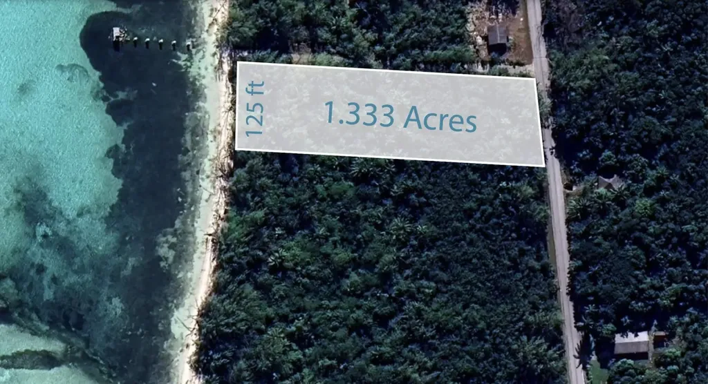 Mangrove Cay Andros BS