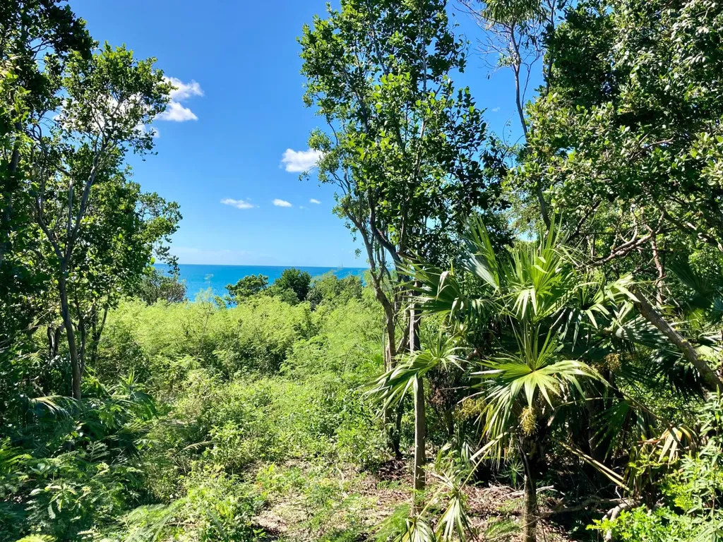 Oceanfront Lot 18 Blk 12 Eleuthera BS