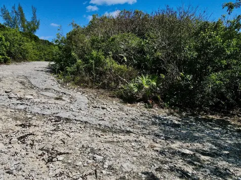 Oceanfront Lot 18 Blk 12 Eleuthera BS