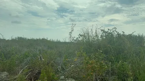 1 Bullard's Tarpum Bay Eleuthera BS