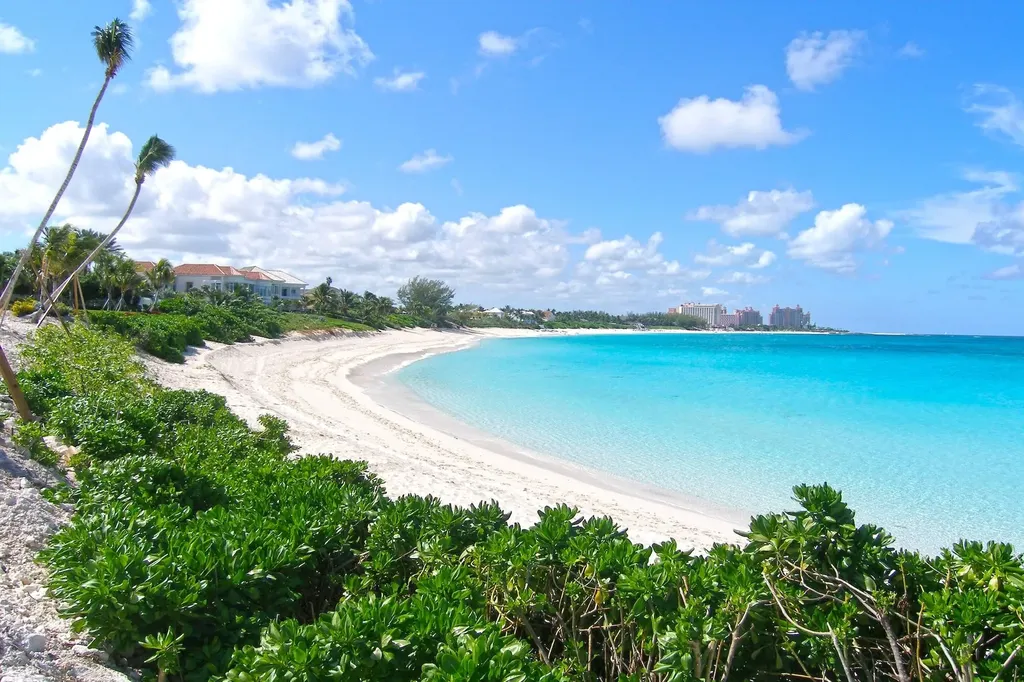 Ocean Club Residences New Providence Paradise Island BS