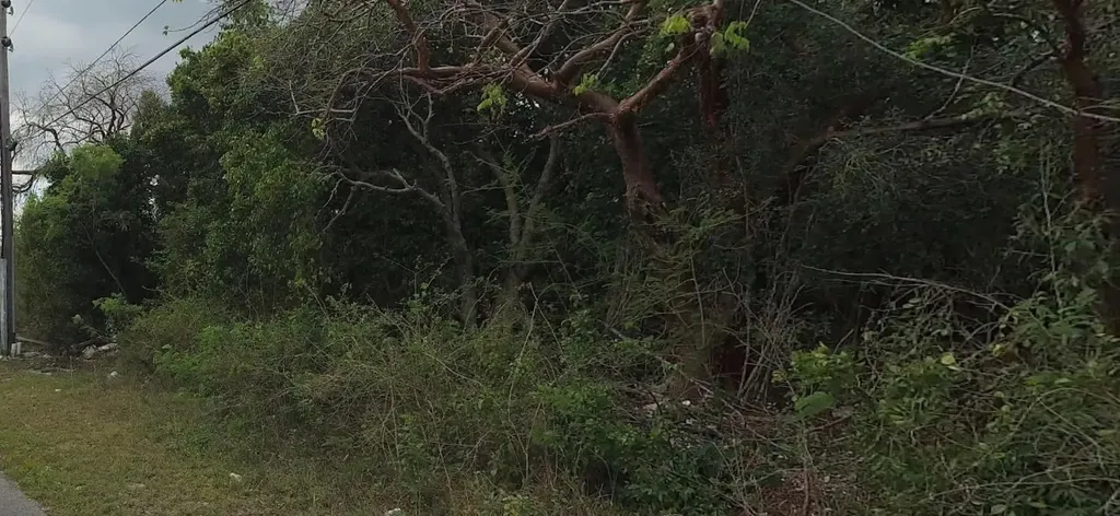 Congo Town South Andros 29 Andros BS