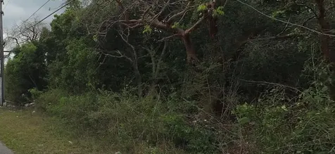 Congo Town South Andros 29 Andros BS