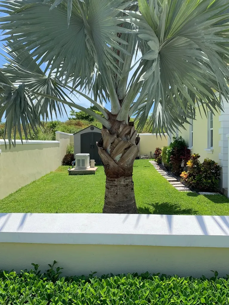 67 Palm Cay New Providence Paradise Island BS