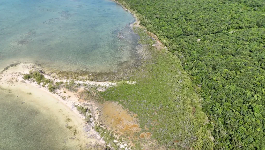 Boiling Hole Tract Abaco BS