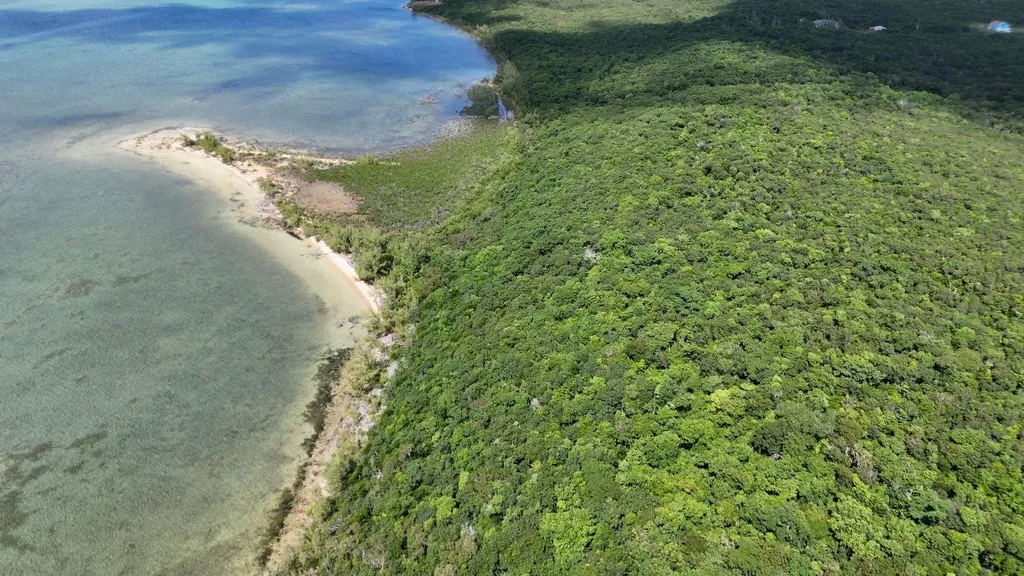 Boiling Hole Tract Abaco BS