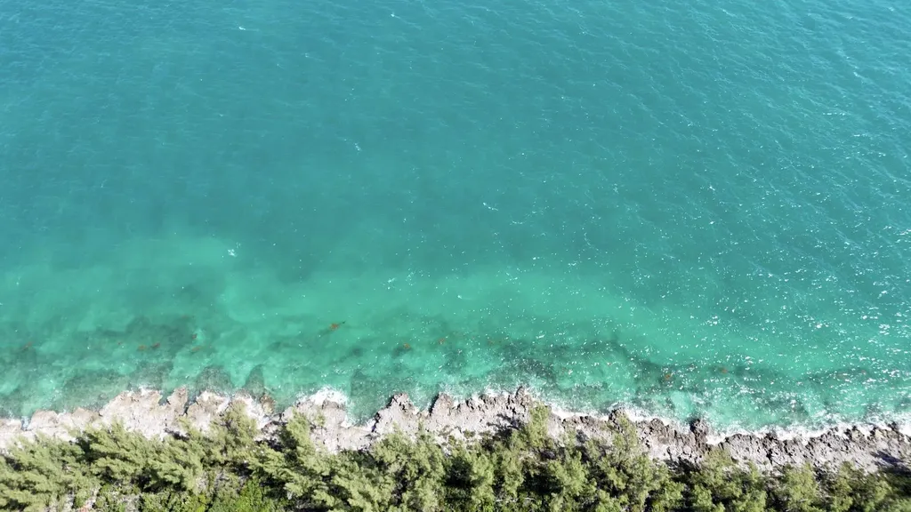 Boiling Hole Tract Abaco BS