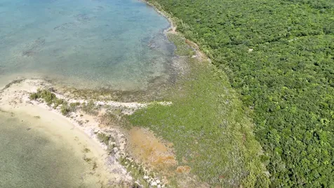 Boiling Hole Tract Abaco BS