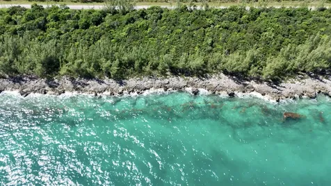 Boiling Hole Tract Abaco BS