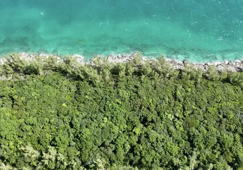 Boiling Hole Tract Abaco BS