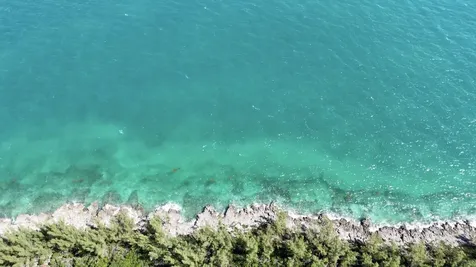 Boiling Hole Tract Abaco BS