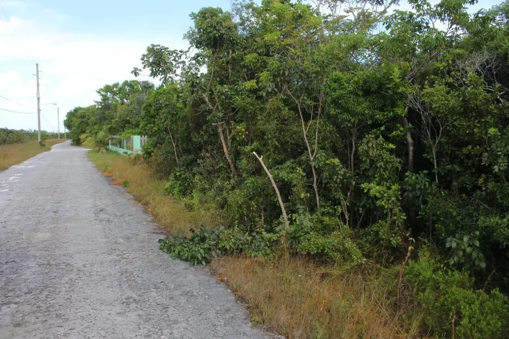 Seagrape Drive 34 Abaco BS