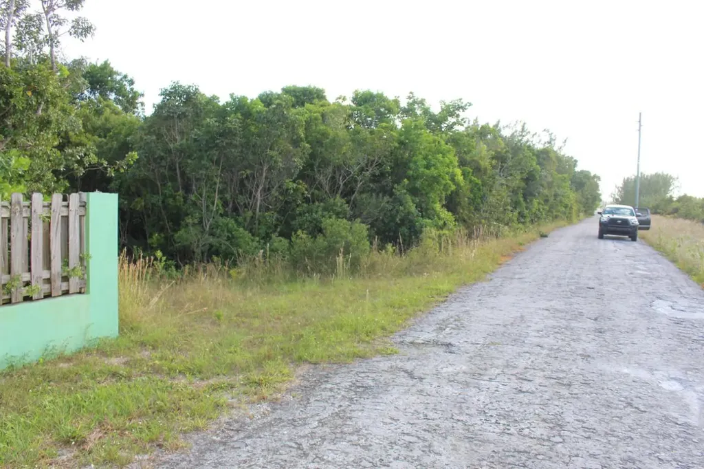 Seagrape Drive 34 Abaco BS