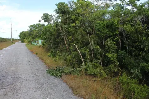 Seagrape Drive 34 Abaco BS