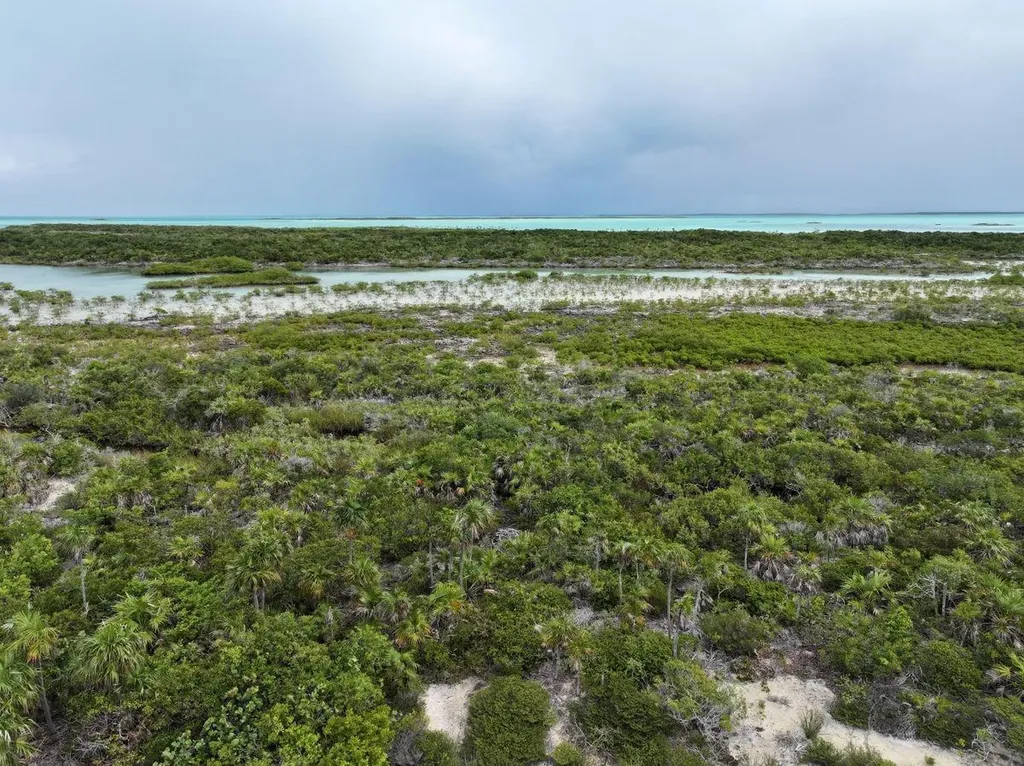 Gold Ring Cay Exuma BS