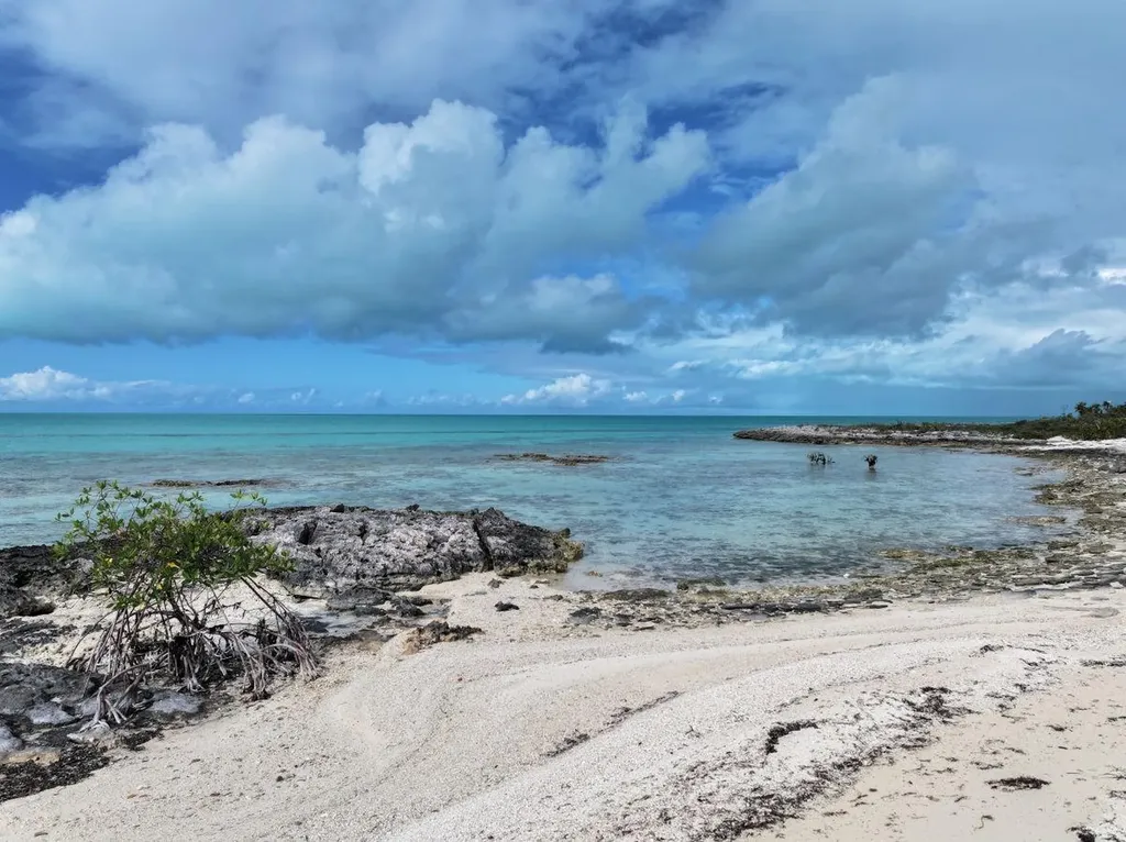 Gold Ring Cay Exuma BS