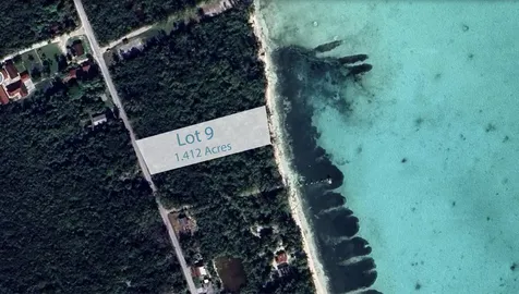 Mangrove Cay Andros BS