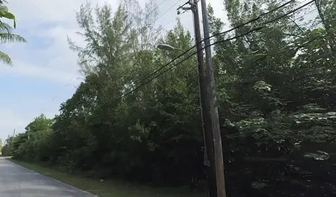 Mangrove Cay Andros BS