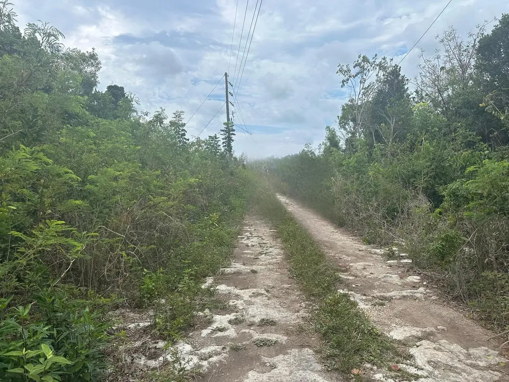 2 Bullard's Tarpum Bay Eleuthera BS