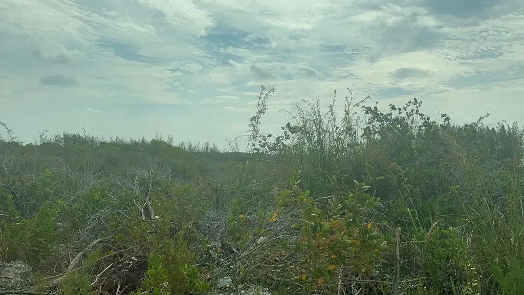 2 Bullard's Tarpum Bay Eleuthera BS