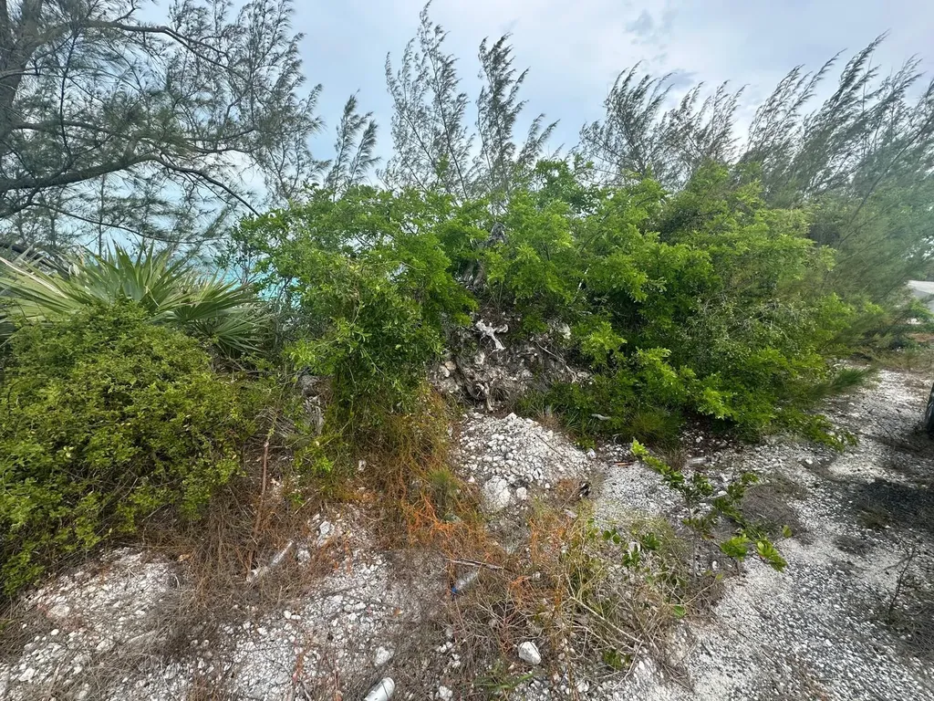 1 Lil Bluff Savannah Soun Eleuthera BS